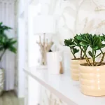 Dina House Quinzico * 나자레