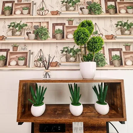 Dina House Quinzico 度假居