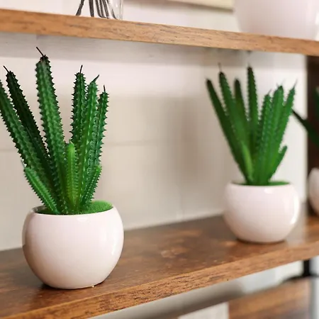 Dina House Quinzico Nazaré