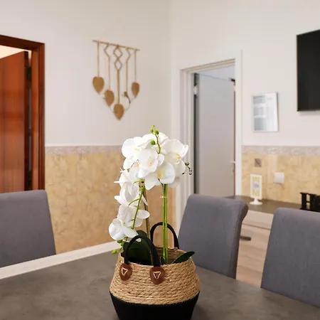 Dina House Quinzico * 纳扎雷