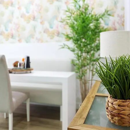 Dina House Quinzico * 나자레