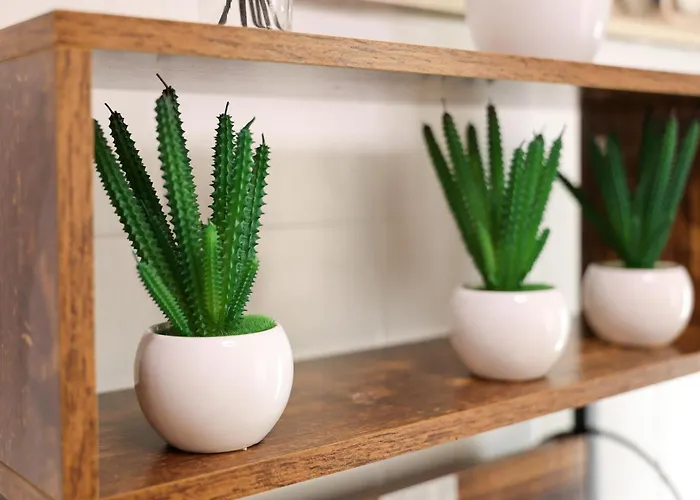 Dina House Quinzico نازاريه