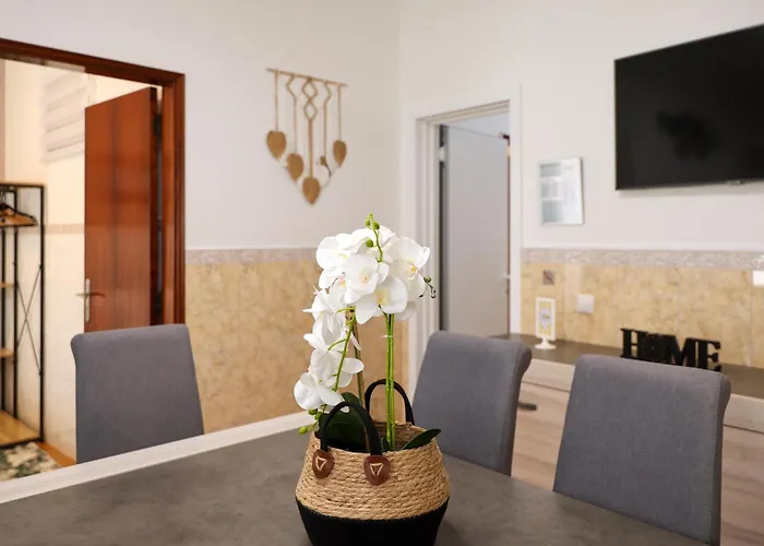 Dina House Quinzico * نازاريه